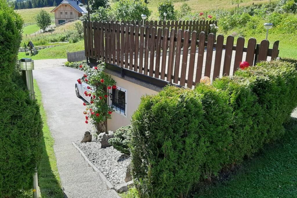 Апартаменти Haus Fritz - Erholung In Den Bergen Доннерсбахвальд Екстер'єр фото